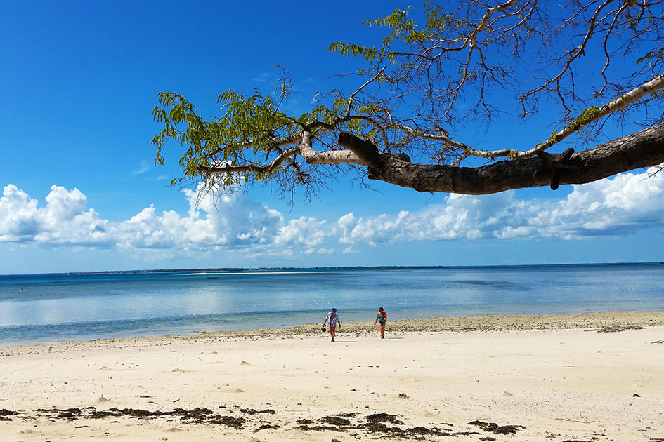 ✈ Como sé que te mereces unas vacaciones, déjame tentarte con estas ofertas de <a href="/KLM_ES/">KLM Spain</a> 

✴ Zanzíbar desde 422 € (i/v)
✴ Oslo desde 130 € (i/v)
✴ Dubrovnik desde 130 € i/v)

Más destinos a precios imbatibles 👉 klmf.ly/3qEWcpP

#KLMEspaña #VuelaconConfianza #Ad