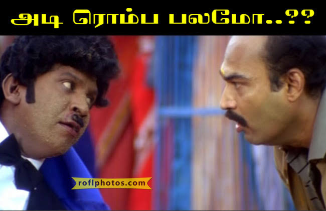 FrilledLizard3's tweet photo. @SOA2714 @black66489961 @solaiamr @hippo_offl @mayil_official https://t.co/YEJxek8vqy