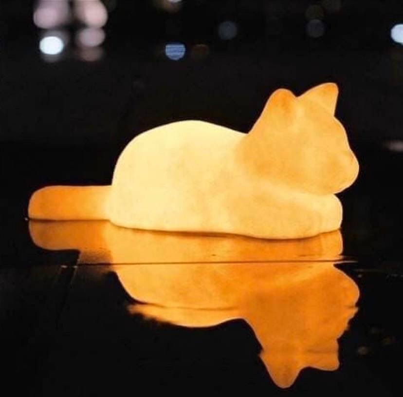 igonjiew's tweet photo. โคมไฟน้อนแมววว ทาสแมวต้องเลิฟ🐈🐈‍⬛️ ปรับระดับได้ 2 สี
ขนาด : 13*13*34 CM ใส่ถ่าน 
✨ราคา 239.-บาท ✨

📦ค่าส่ง 50฿ ต่อไป+10
❌ปิดรอบวันที่ 19/07❌
___________________________
สินค้าพรีออเดอร์รอประมาณ 15-20 วัน หลังจากปิ���รอบ (ช้าเร็วขึ้นอยู่กับสถานการณ์นั้นๆ)
#โคมไฟแมว #โคมไฟ https://t.co/Sn5gCHIfM6