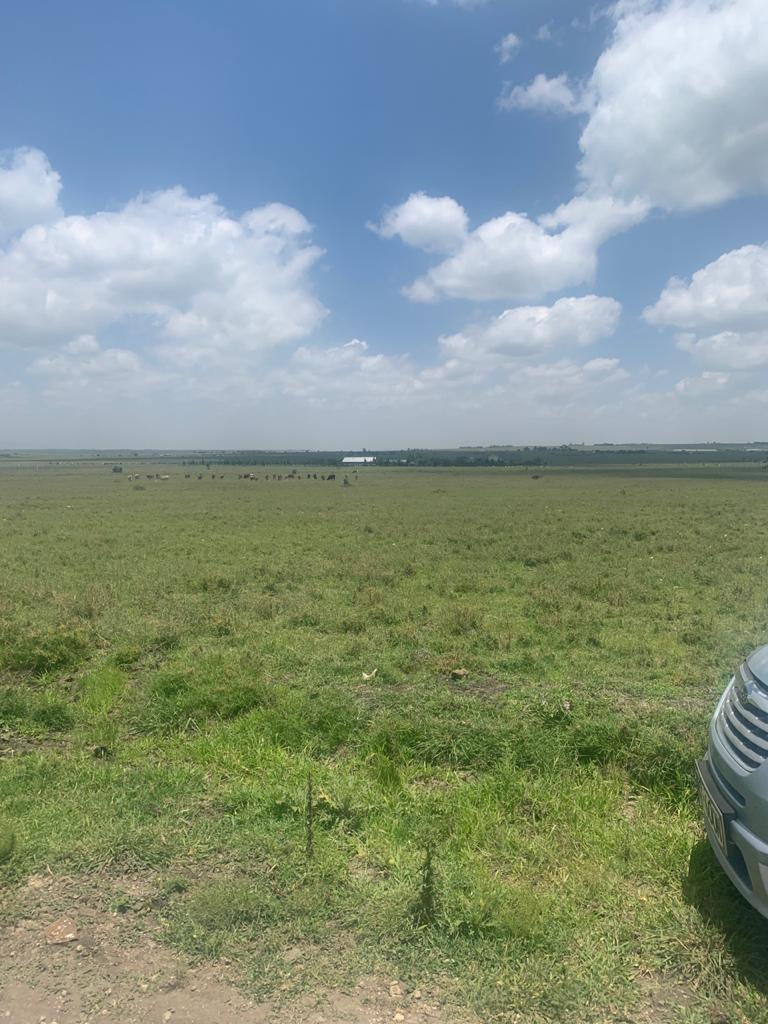 ElixirHomes's tweet image. Prime plots at Isinya
- 5km from Isinya Town along the Kiserian Pipeline Road
- Only 3km from the tarmac road
- Good developments in the area
- 1/8th acre plots
- Ready title deeds
- Flexible payment plan

Call 0115 740561 or 
Email: elixirrhomes@gmail.com