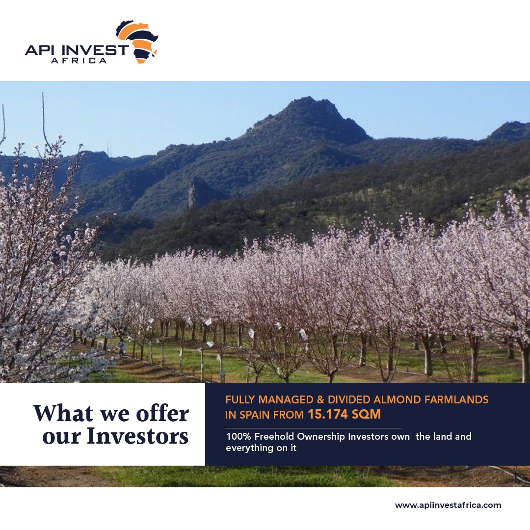 API_Africa_Invest (@api_africa) / Posts / X