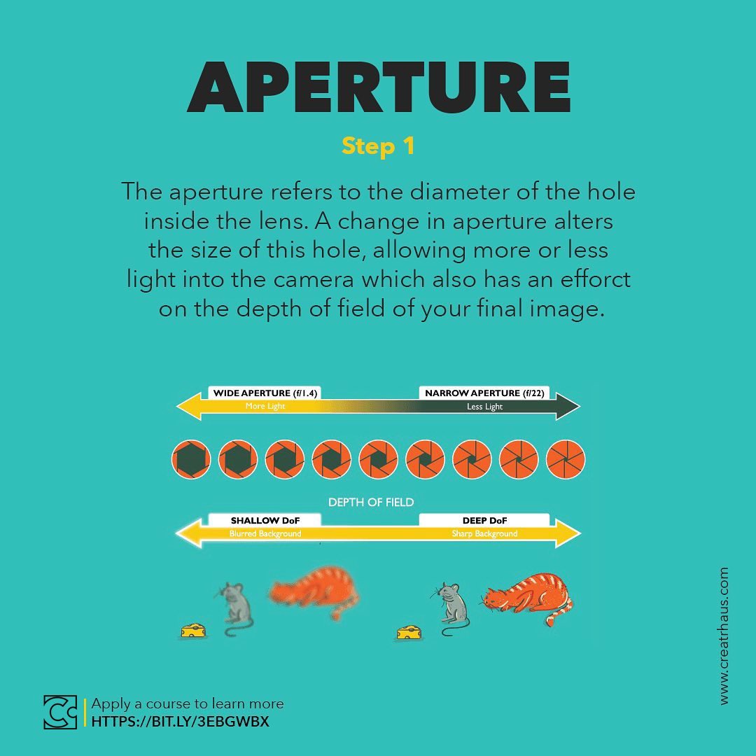 CreatrHaus's tweet photo. Apply a course to learn more about how cameras work.
#camera #dslr #canonphotography #nikon #canon #photography #learn #creatrhaus https://t.co/ubqxfKvxNw
