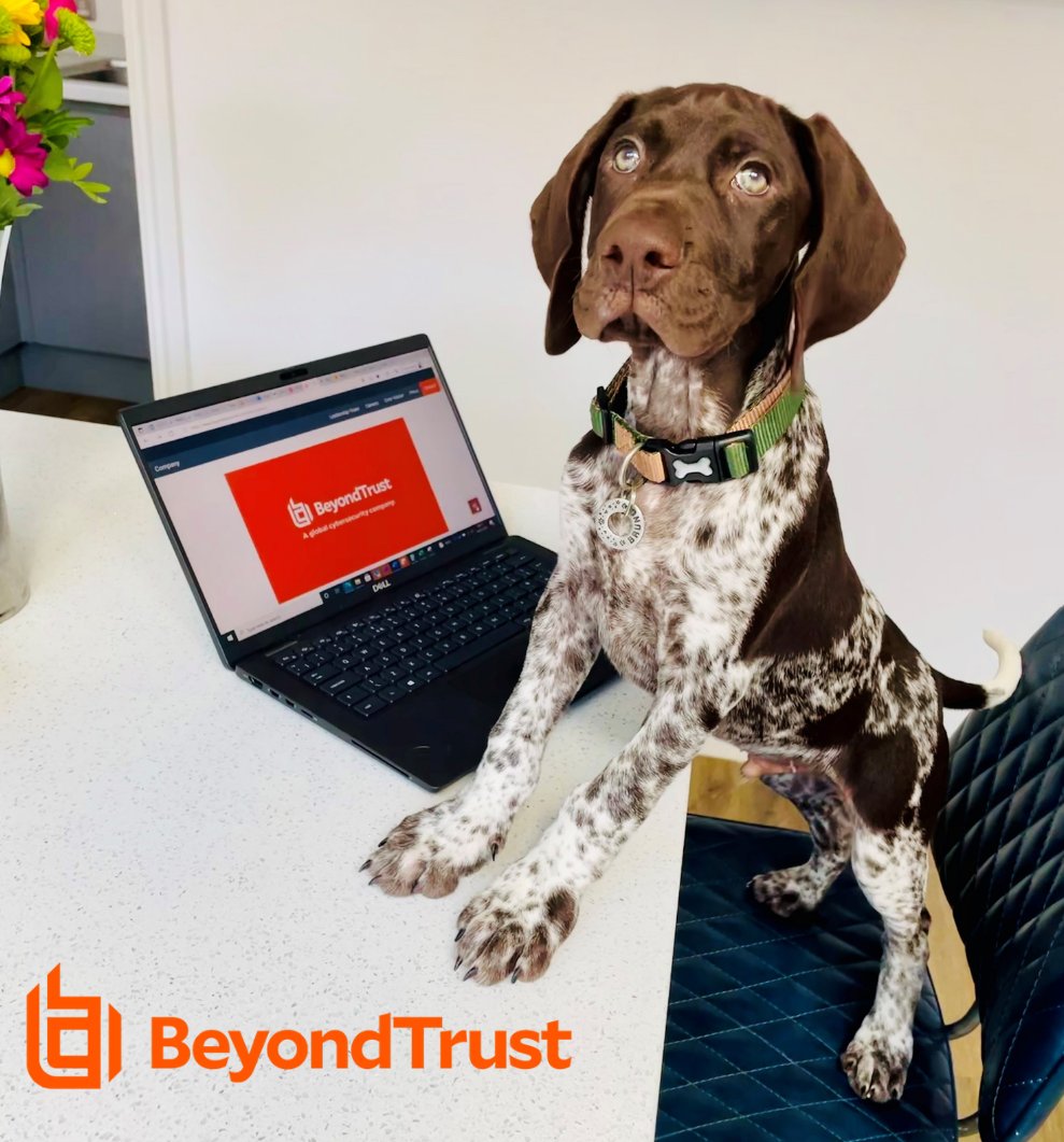 EmmaRec84's tweet photo. π§‘ Cutest new @BeyondTrust team member training in progress! πΆ
π Say hello to my home working buddy Bruno!
He's a pointer so surely 'hunting' down talent will come natural to him?! In between napping and chewing everything insight of course! π€
#BeyondTrustLife #remotejobs https://t.co/fdrfXo0K6C