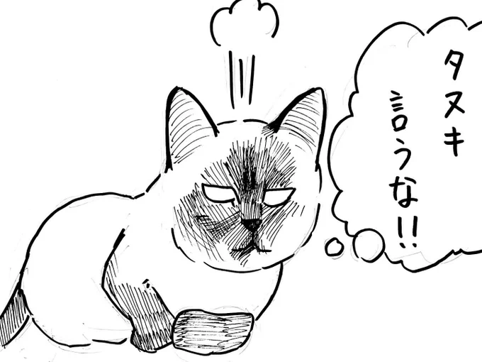@H_Macha666 お待たせしました!機嫌悪そうな顔してませんか?可愛いですwww
見せていただきありがとうございます! 