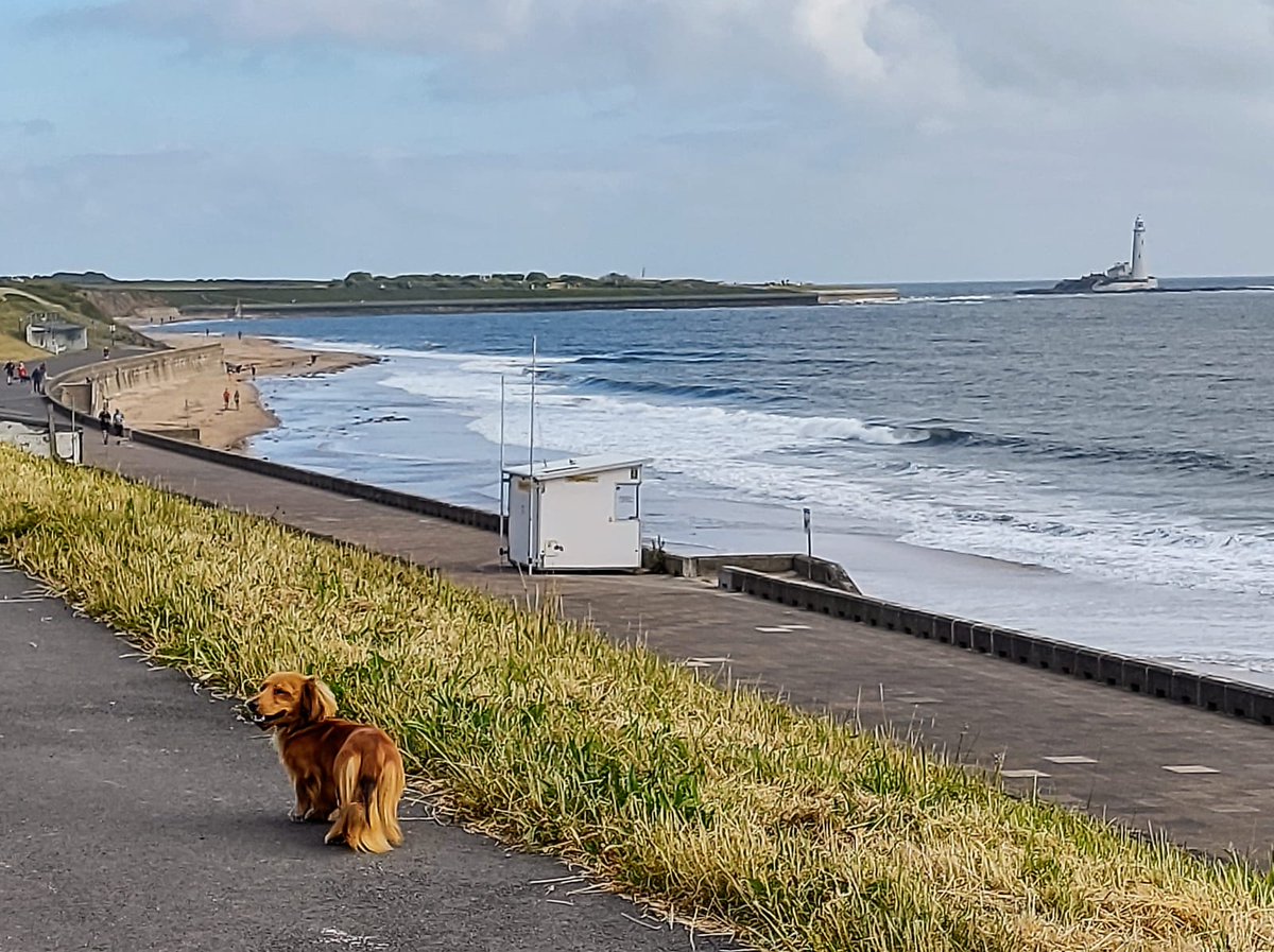 Astriid_No1's tweet photo. Our furry friends are cheering us on and even taking part in the #AstriidChallenge! Thank you to all our participants! We couldn't continue the work we do without you!
There's still time to join - https://t.co/dJGlSZuzzO
#Diversity #Inclusion #InvisibleTalentPool https://t.co/DY0t7uR6Vj