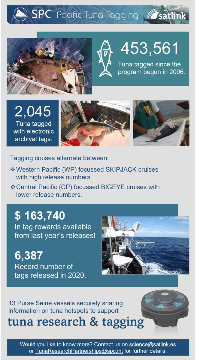 Satlink (@satlinksl) on Twitter photo Excited about this new edition of the #Pacific #Tuna Tagging Program #PTTP starting tomorrow! To find out more about this <a href="/spc_cps/">Pacific Community</a> joint #research #project, we share some facts about previous editions: bit.ly/36EzYLi #Sustainability #Oceans Excited about this new edition of the #Pacific #Tuna Tagging Program #PTTP starting tomorrow! To find out more about this <a href="/spc_cps/">Pacific Community</a> joint #research #project, we share some facts about previous editions: bit.ly/36EzYLi #Sustainability #Oceans