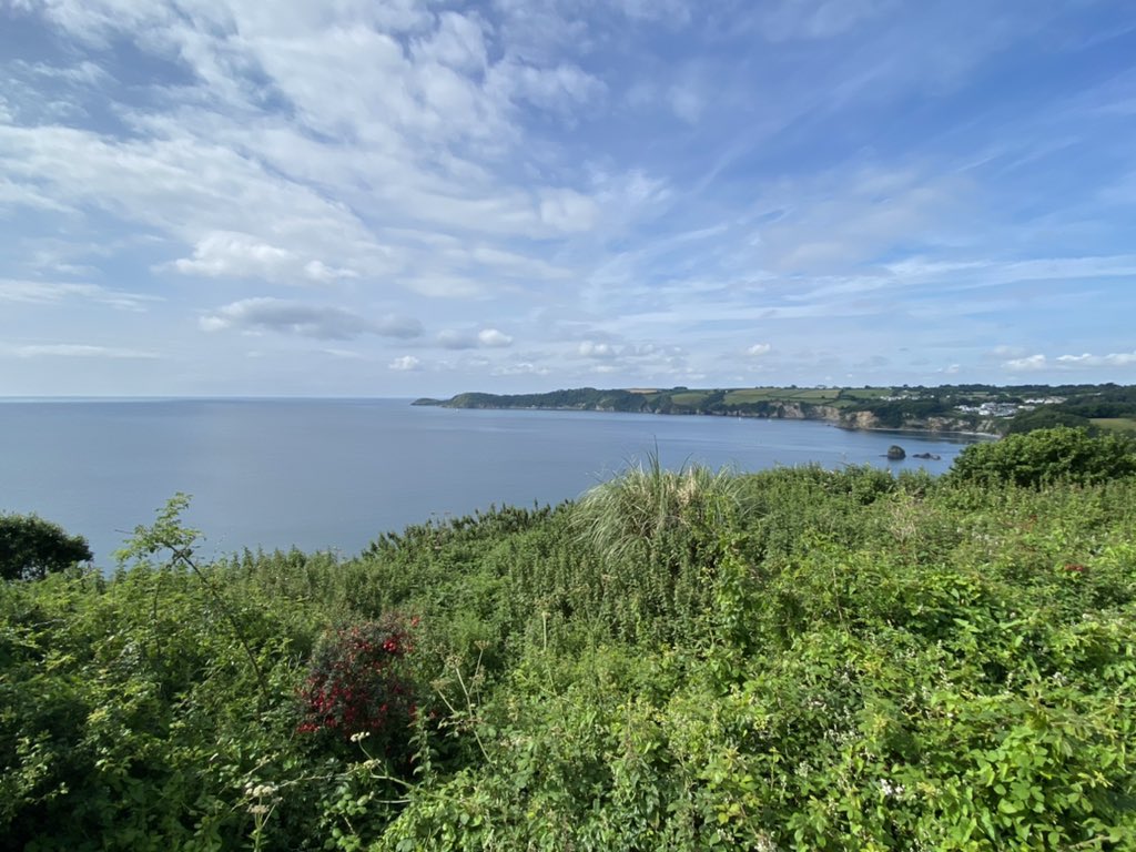 JamesShoesmith's tweet photo. Early morning blues and greensβ¦#duporth https://t.co/KD44cX4qCl