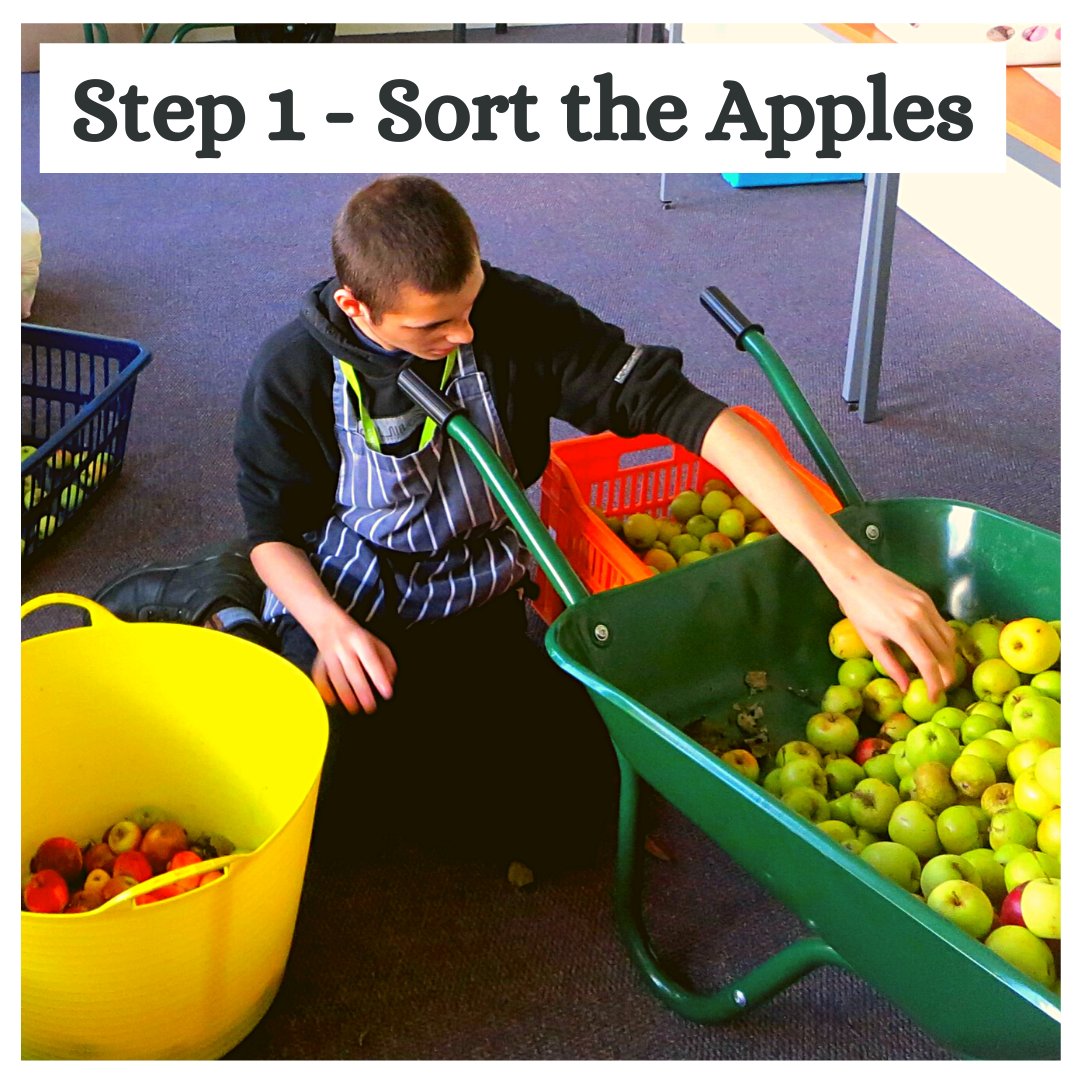 AppleWiltscoll's tweet image. We are going on our summer holidays next week and are looking forward to the next academic year and the apple trees being full of juicy apples. The first step in making our juice is to sort our apples out. #wiltscoll #studenteats #appleproject #sustainable #SEN #wiltshire