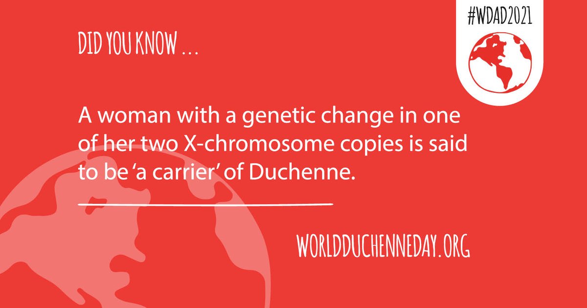 Usually women find out they are a carrier when their son is diagnosed with #Duchenne or #Becker. In most cases, female carriers do not experience any disease symptoms. 👩‍👦
↓ Information for carriers
worldduchenne.org/carriers/
#Motherhood #WDAD2021