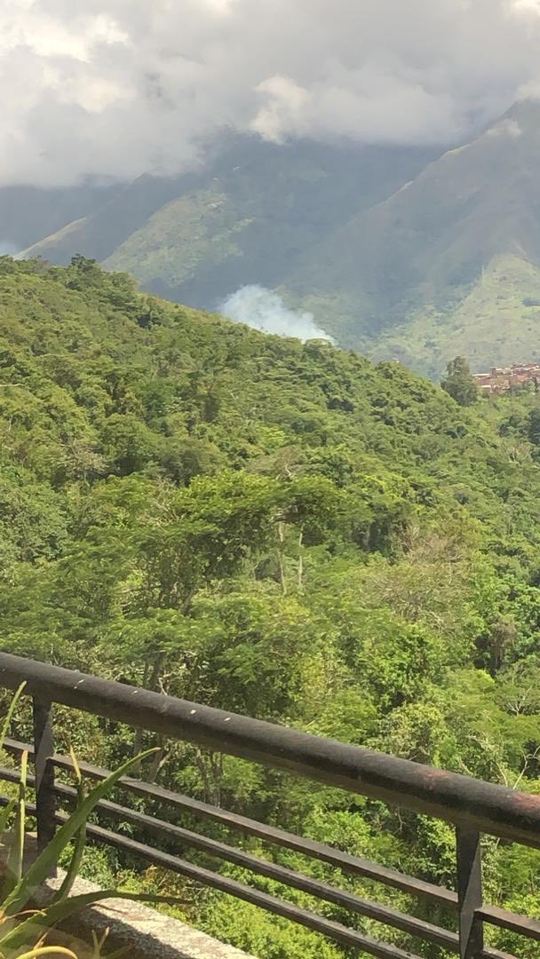 Ingrid Hernandez tweet media