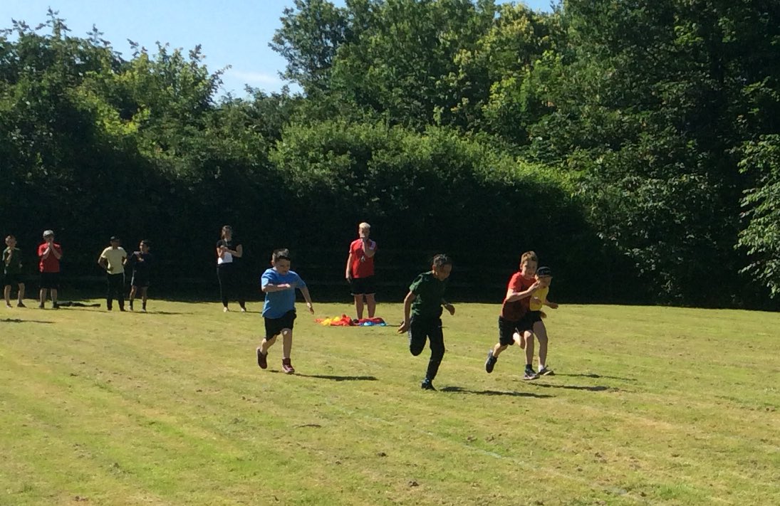 TimbertreeYr4 tweet media