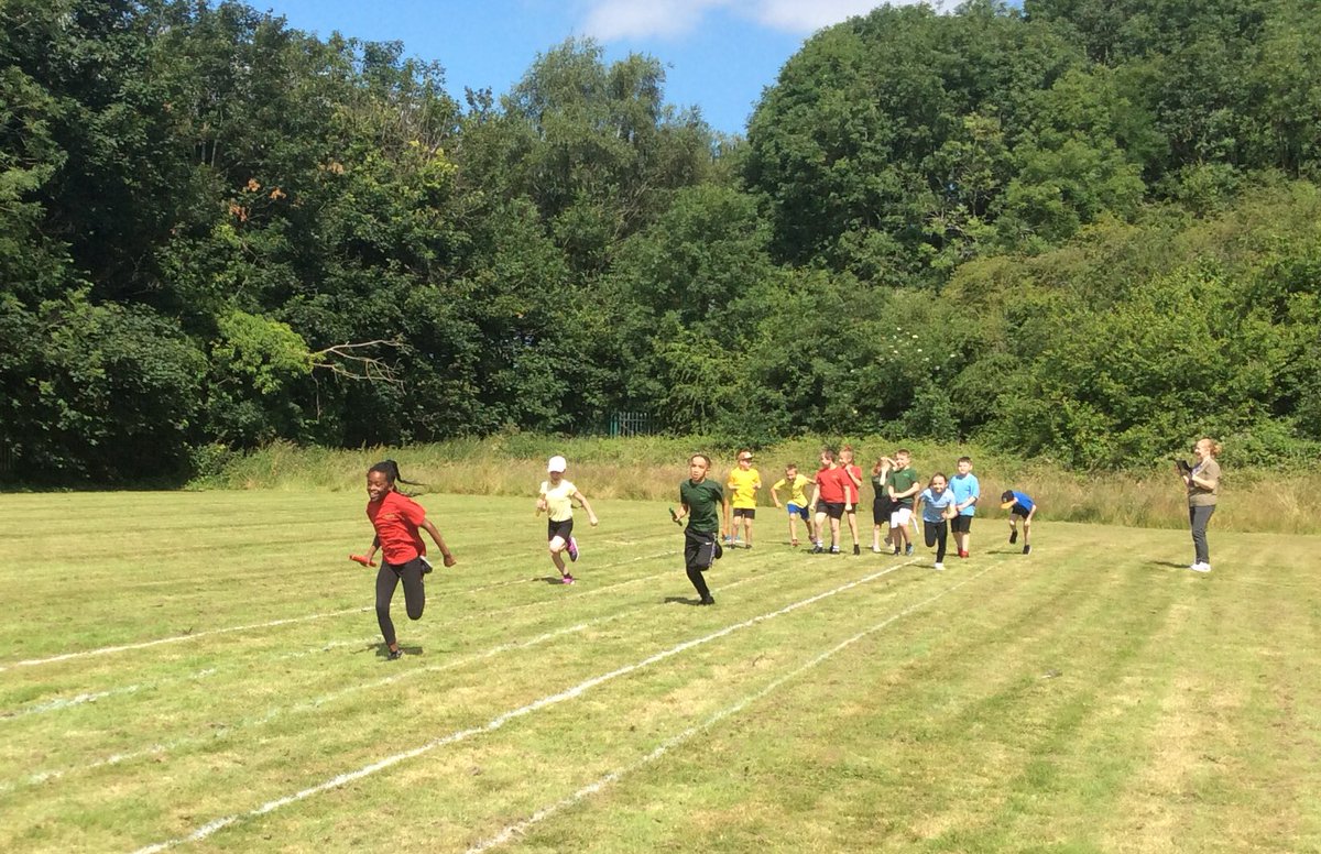 TimbertreeYr4 tweet media