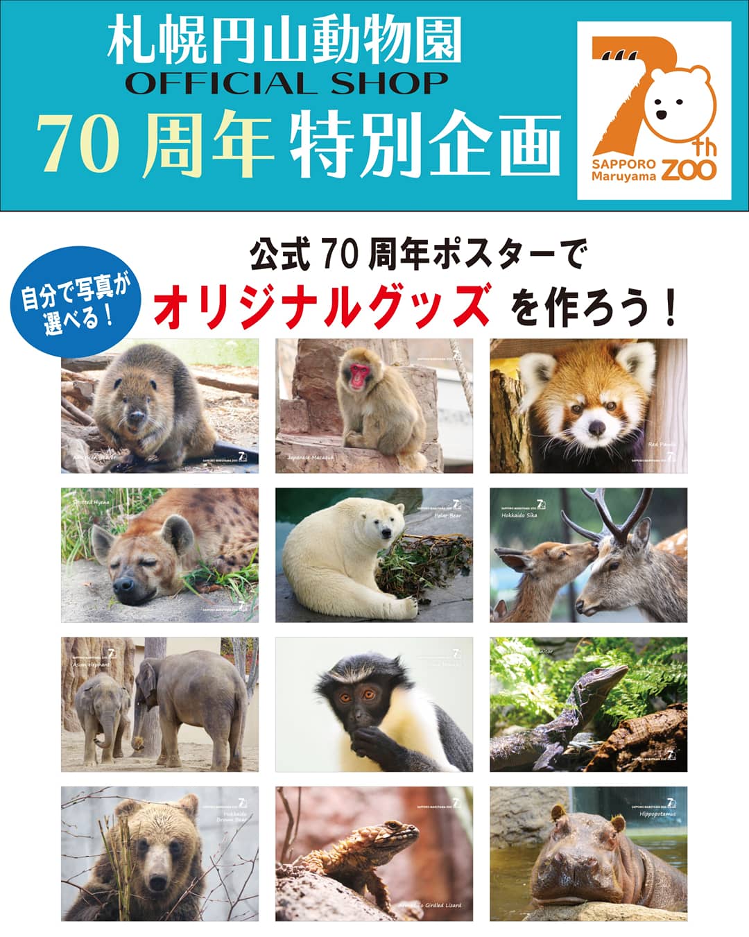 【超歓迎】 円山動物園オフィシャルショップ على X:  コレクション
