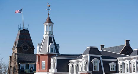 Lisa Eckelbecker tweet media