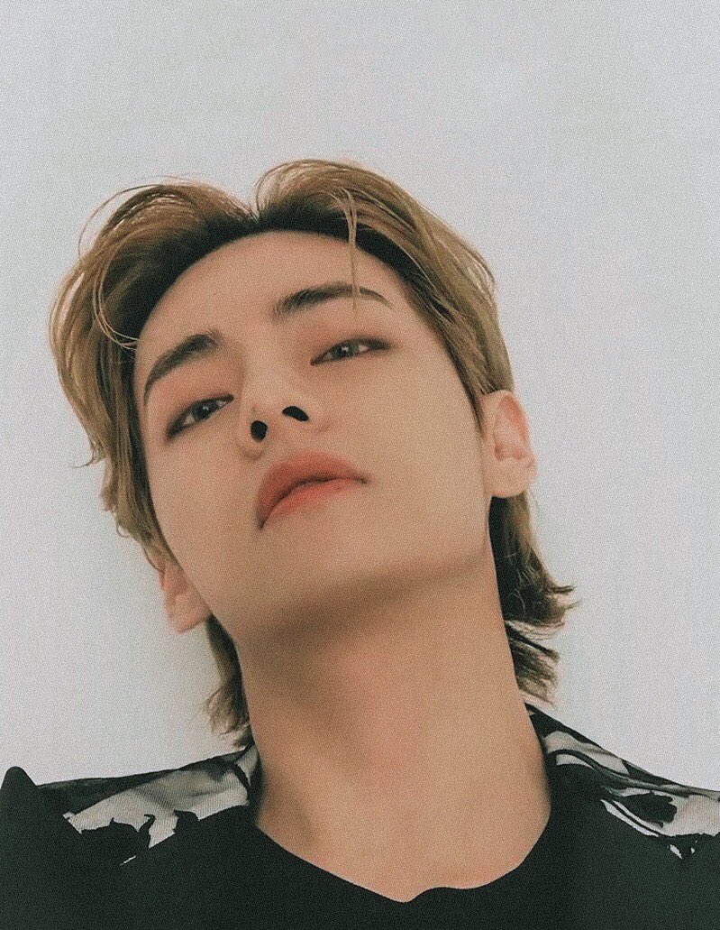 kim taehyung leaving models jobless