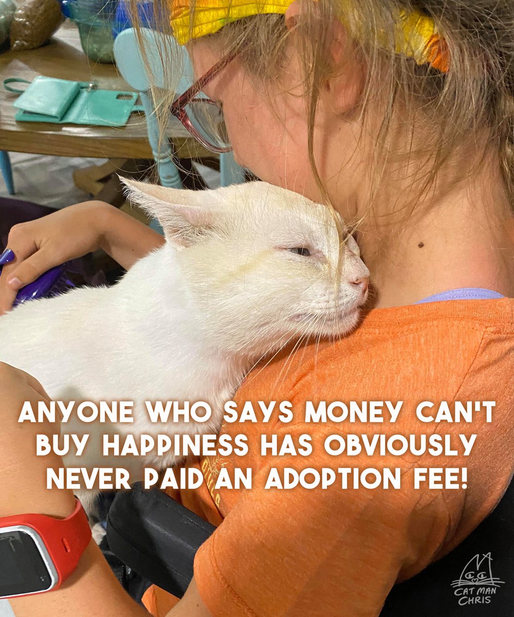 Cat Man Chris tweet media