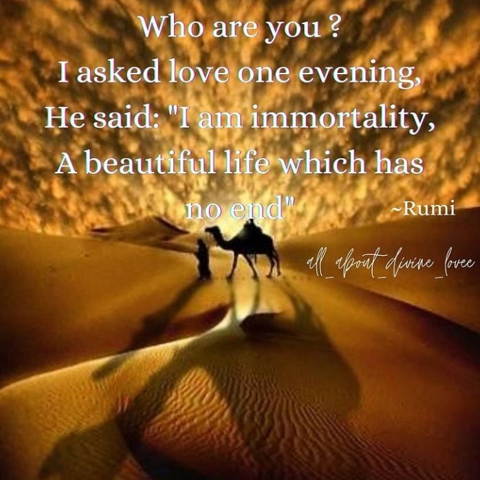 Rumi_65 hashtag on Twitter