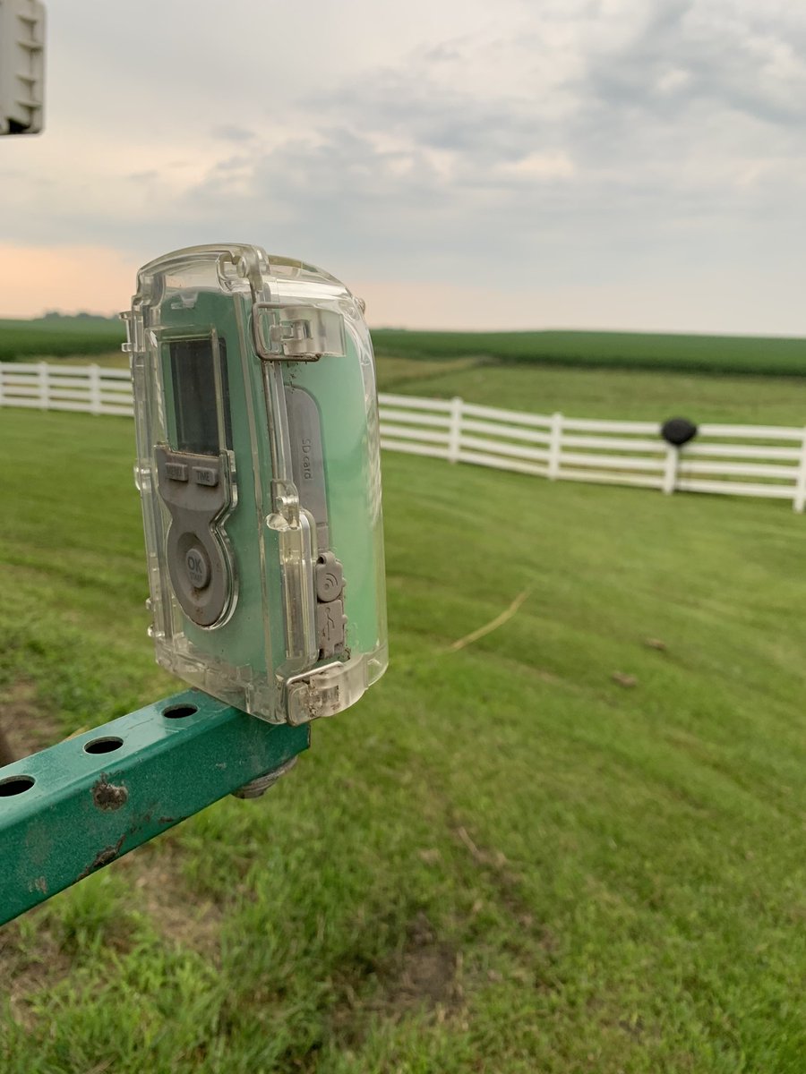 Maybe if we set up the time lapse to watch the storm it won’t be as bad as they predict….🤞#grow21 #keepthehailaway