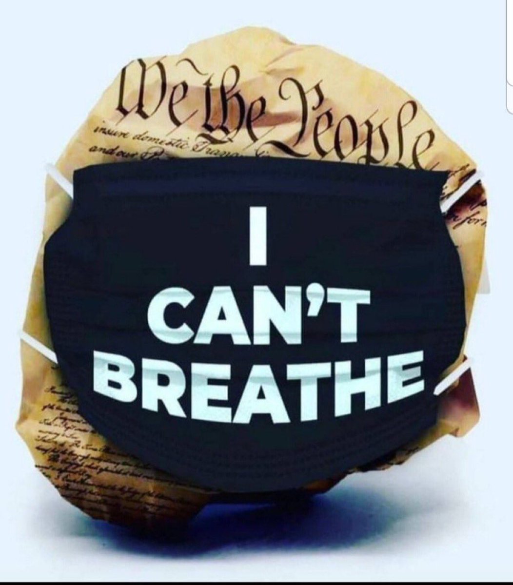 DABIRDISDEAD's tweet photo. #IllegitimateJoe! #DoNotRatifyFRAUD!
#ElectionFraud Is the Direct Theft Of Every Individual US Citizens Liberty! #TREASON! #WeThePeopleMATTER! https://t.co/AQJivPNTqA