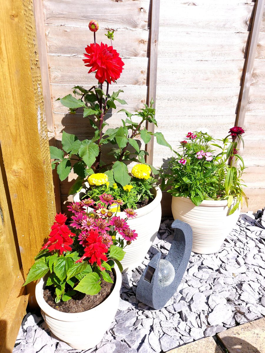 DSG4M3R's tweet image. Garden all done time to relax haha #greenfingers #gamer #gardener