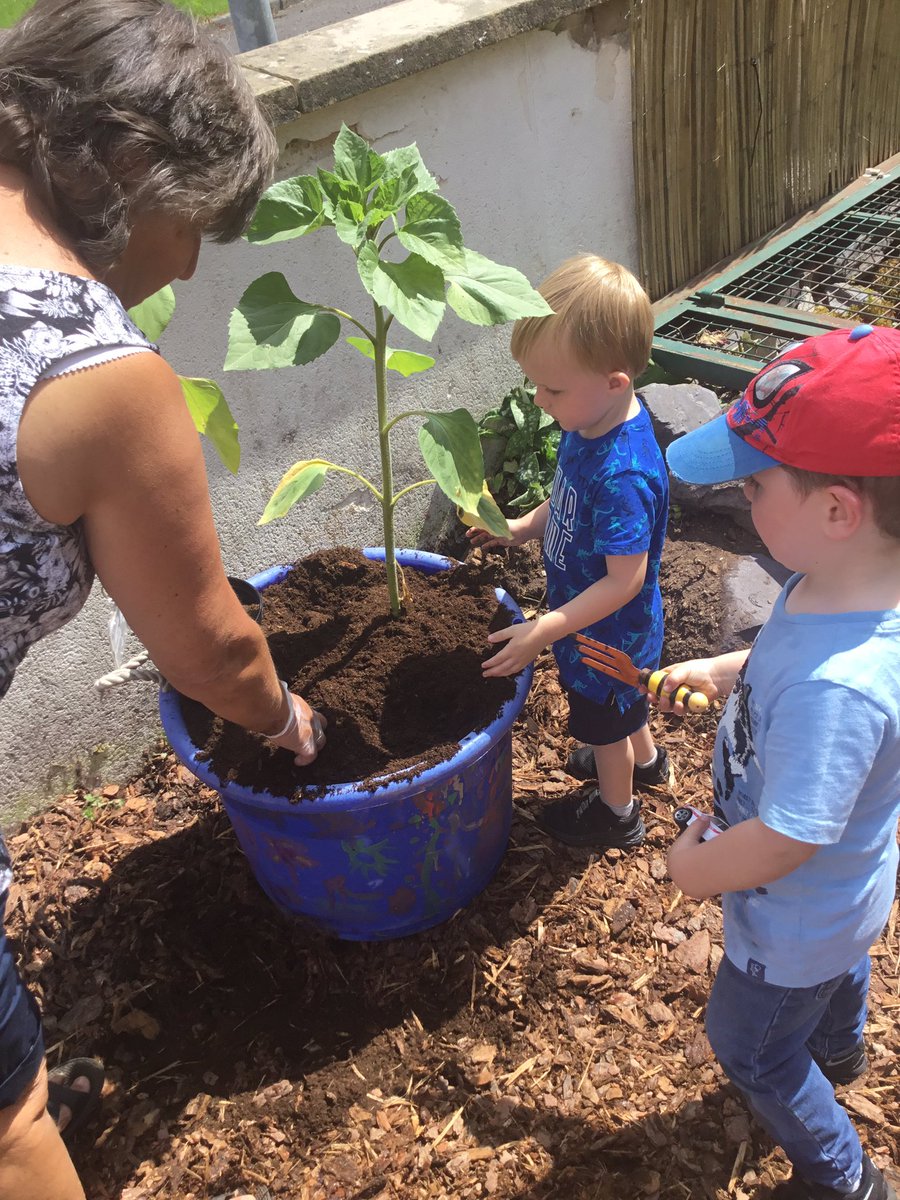 wlbeyc's tweet photo. Work in progerss...
Sunflowers part 2....
We will nurture the sunflowers and watch them grow.
#outdoorplay #Being #FroebelTrust #EcoSchoolScot https://t.co/HdDYSrPseC