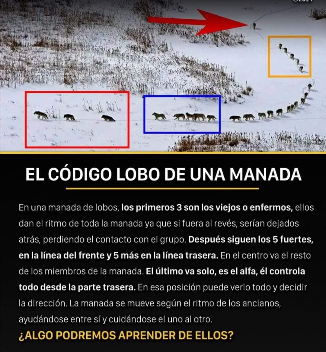 Guardia Cipriano De Adeslas De Toda La Vida.- tweet media