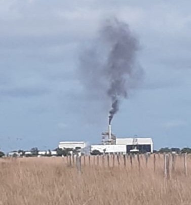 oscarivanperez's tweet photo. Así amanece hoy la planta de #Refoenergy en #PuertoCarreño #Vichada , decían que era ambientalmente amigable.  @MinAmbienteCo @Corporinoquia @CarlosECorreaE  están contaminando y todos callados. @lcvelez @IvanDuque @VickyDavilaH @gusgomez1701 SOS por Puerto Carreño. @alcaldiapcr https://t.co/Hha2ec1CNJ