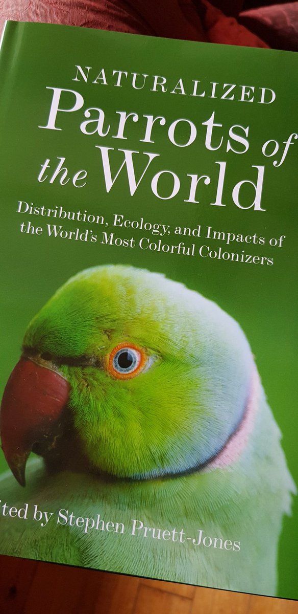sharpebirder's tweet photo. I've just been asked to review the new @PrincetonUPress 'Naturalized Parrots of the World'. Lots of very useful information here from parrot trade to invasive species (including the one on the cover!), conflicts to ecology. @PrincetonNature #PUPintheWild https://t.co/Qwj3OTLXyE