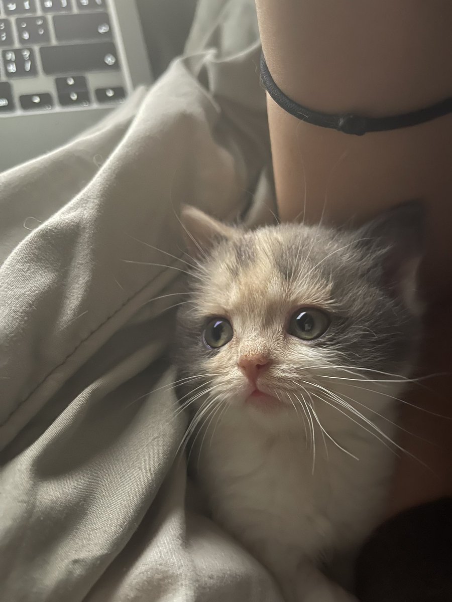 aahrahr's tweet image. ใช้แบตยี่ห้อไร แรงไม่ตกเลยลูกกกกก