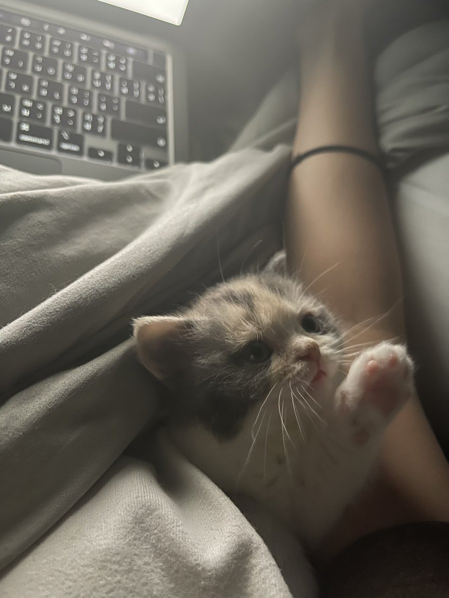 aahrahr's tweet image. ใช้แบตยี่ห้อไร แรงไม่ตกเลยลูกกกกก