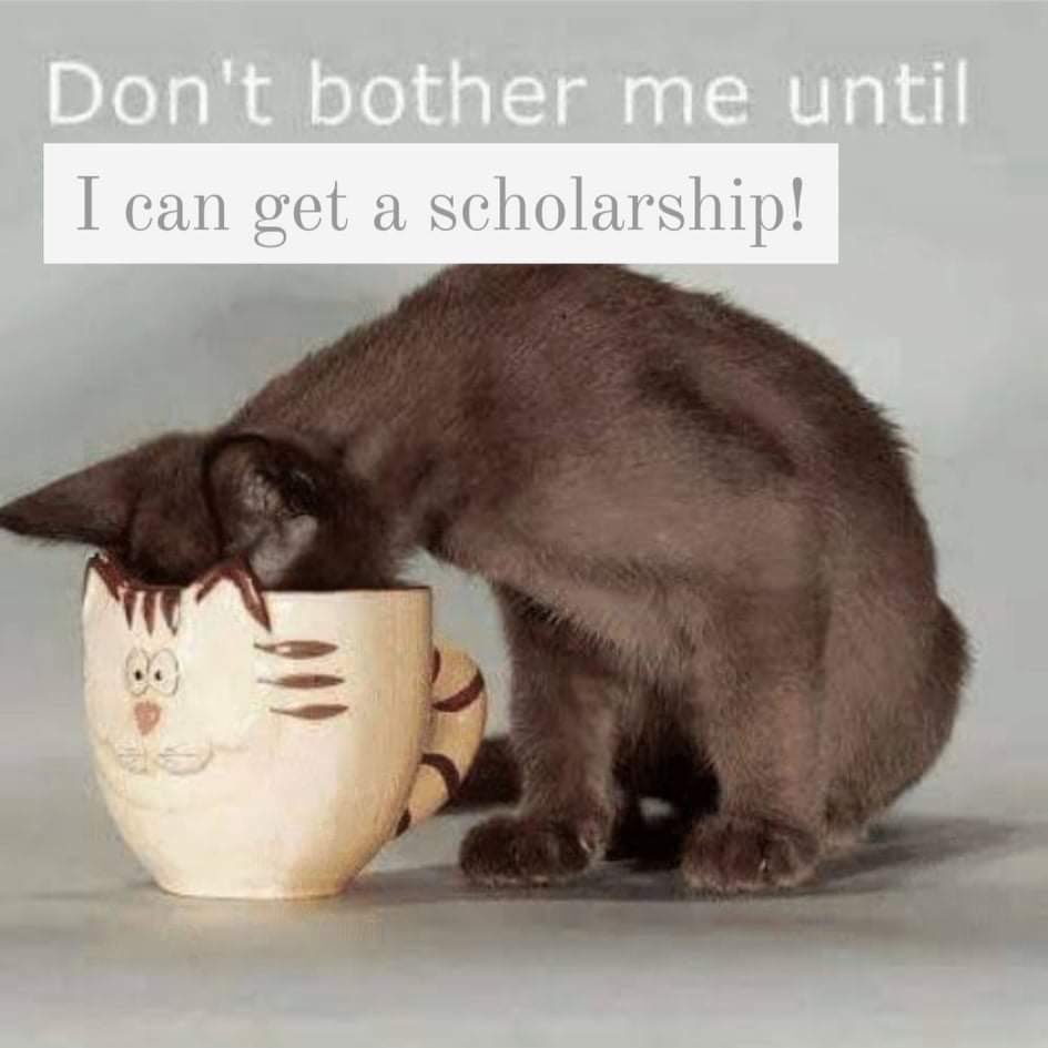 BalicasMarie's tweet photo. @axie_network You can bother me anytime, Manager 😅😊 https://t.co/uJtEnESgx0