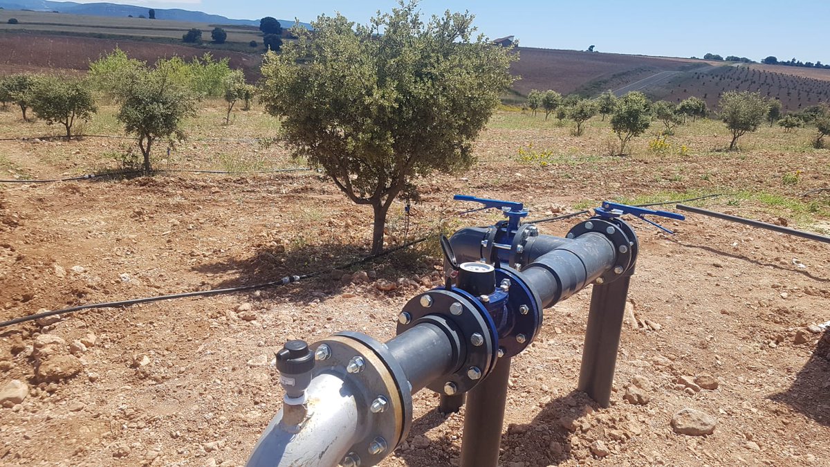 RegaberSA's tweet photo. Visitamos una finca de 25 hectáreas de encinas truferas en Teruel con #SolucionCompleta Regaber para aumentar la #eficiencia en el uso del agua 💦📈
#SuperNet #MiniSigma #Barak #Gaer #CultivandoElFuturo #ProducirMásConMenos https://t.co/AJkJwH0XbT