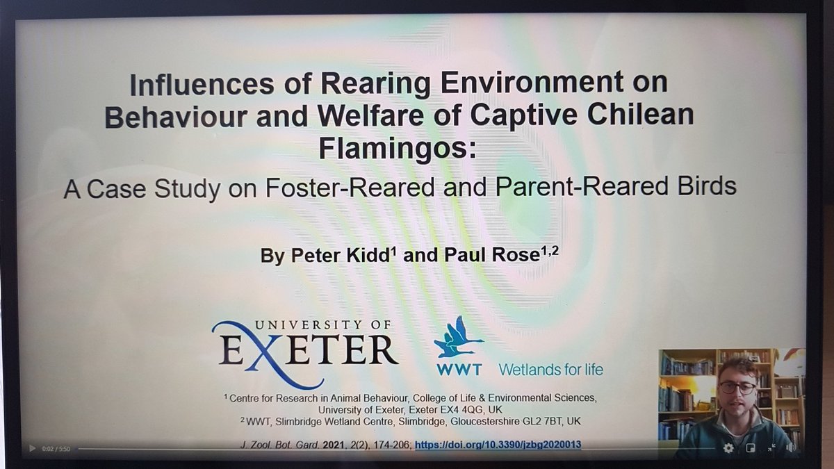 DrLisaRiley's tweet photo. Fantastic opportunistic experimental work at the zoo here. Great in case of a future fostering need, and shows how important ecologically relevant experience is to behavioural development  @pauledwardrose 
#biazaresearch2021 https://t.co/FFTMlvlBzq