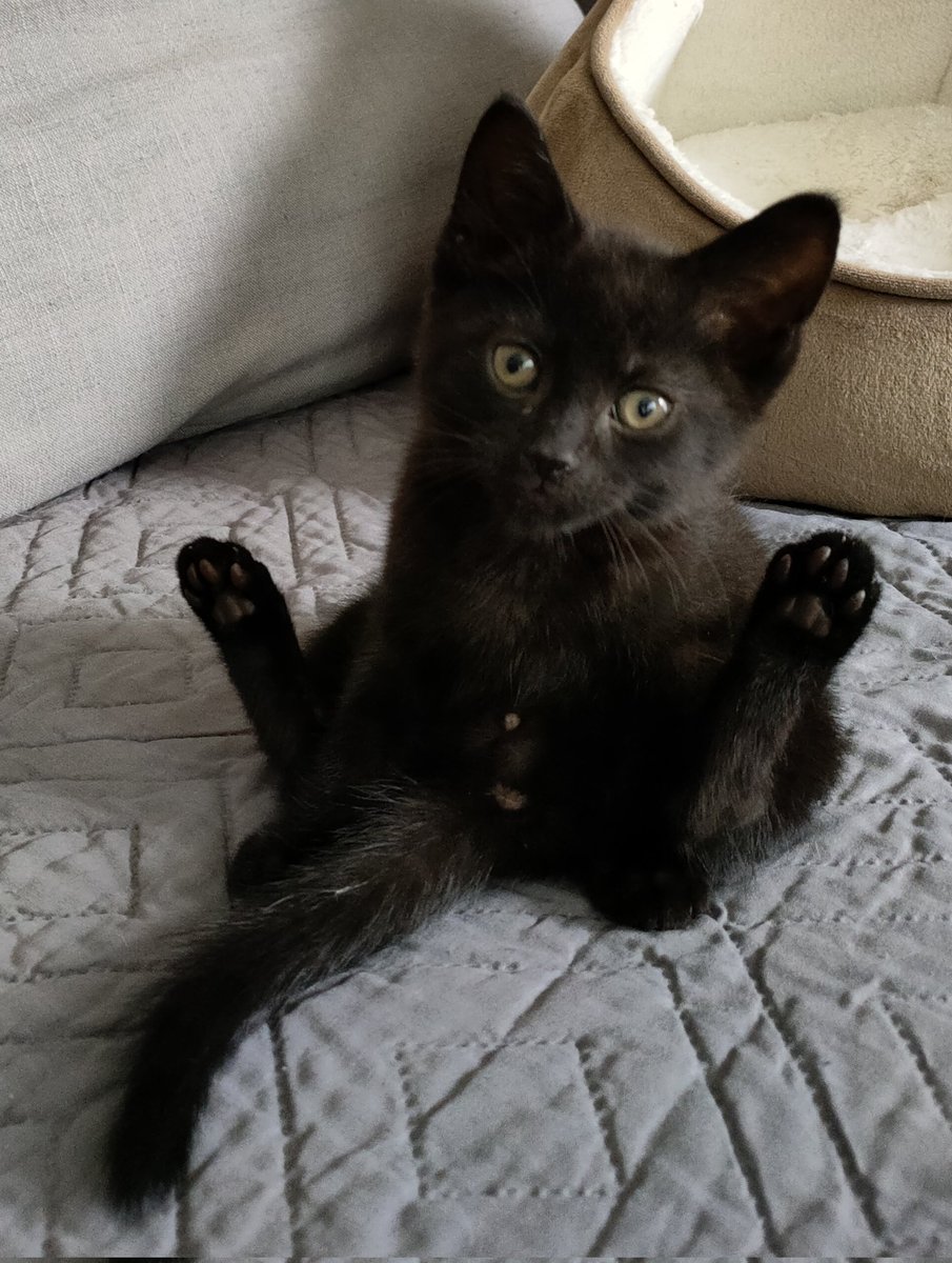 Help!!! It's our 1st fundraiser since the pandemic began on Sunday. We still urgently need donations for the tombola, wine sweets, unwanted gifts etc This is This is our Amazon fundraising account link amazon.co.uk/hz/wishlist/ls…
Please share. #fundraising