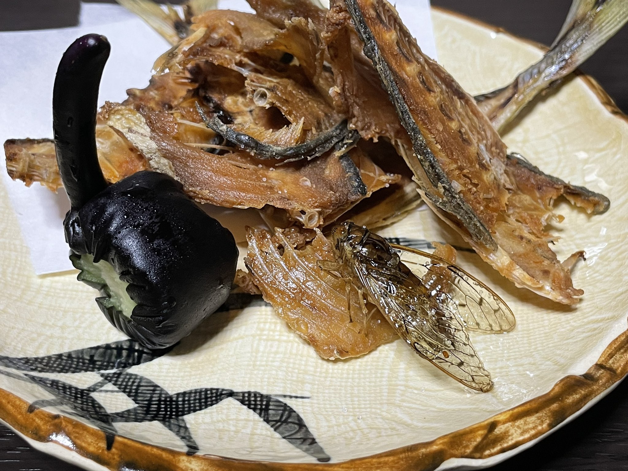 ざざむし の人 がんばったね 頻繁に飛ぼうとしては餌場に辿り着けなくなり手を貸していたので無理だろうなとは思っていたけど セミファイナルを迎えてしまったので食葬にした T Co Imc1nci40u Twitter
