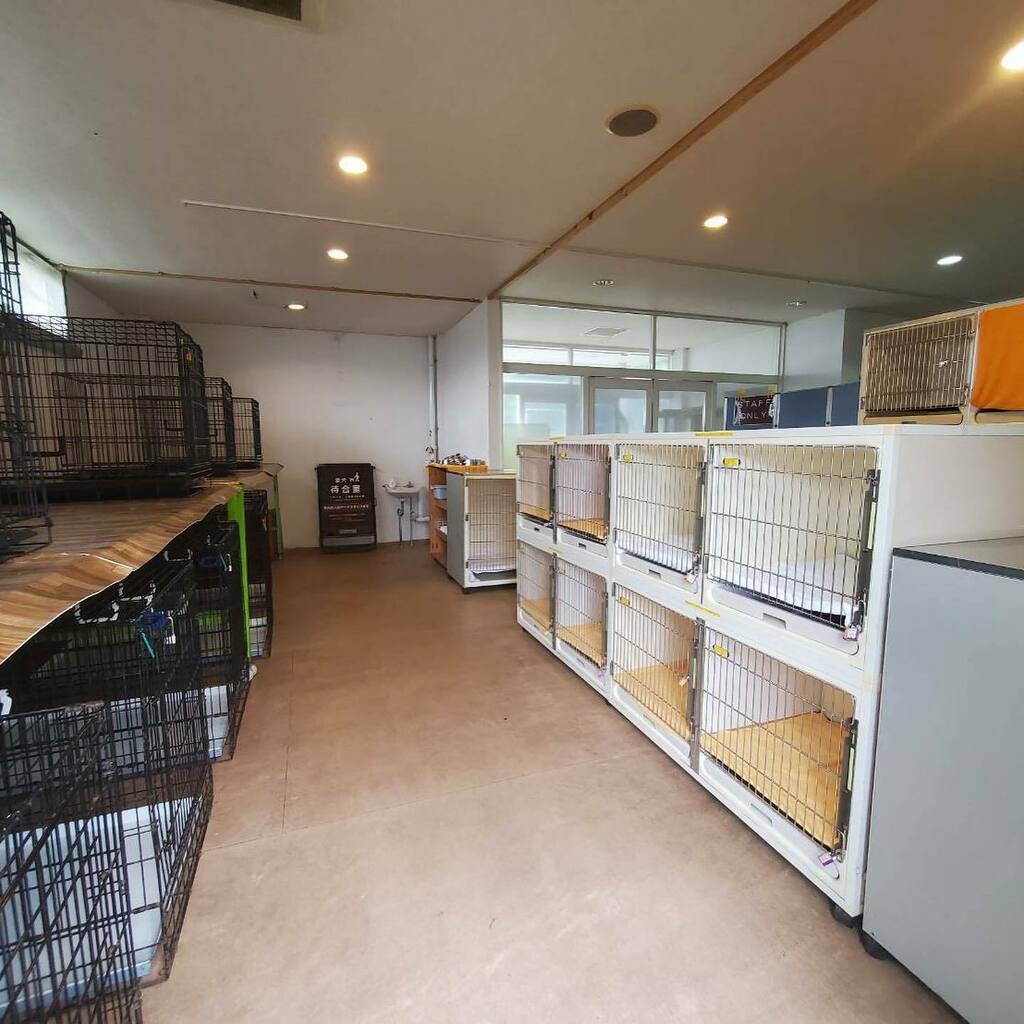 那須どうぶつ王国 わんちゃん待合室 エアコン完備です これからの季節 わんちゃんの熱中症に注意が必要ですね 車で待たせるのは非常に危険です わんちゃん待合室をぜひご利用くださいu ェ U 那須どうぶつ 王国 Nasuanimalkingdom 那須どうぶつ王国 わんちゃん待合室 エアコン完備です これからの季節 わんちゃんの熱中症に注意が必要ですね 車で待たせるのは非常に危険です わんちゃん待合室をぜひご利用くださいu ェ U 那須どうぶつ 王国 Nasuanimalkingdom