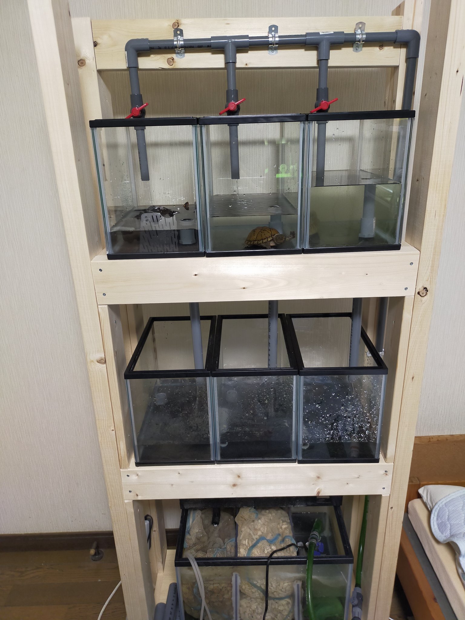 自作水槽 Twitter Search Twitter