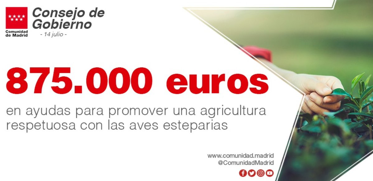 medioambientecm's tweet photo. 🦅La @ComunidadMadrid apuesta por una agricultura económicamente ventajosa pero respetuosa con la fauna.

✅Por ello destinará 875.000€ a las primeras ayudas dirigidas a fomentar la agricultura compatible con la conservación de las aves esteparias de la Red Natura 2000. https://t.co/x6Vjt3e1vx