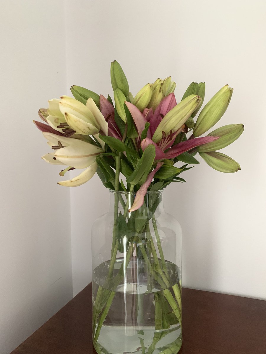 claaudiamas's tweet photo. Que t’enviin flors es dels detalls més bonics que pot fer-te algú!😍😍 https://t.co/FcnA0TX61I