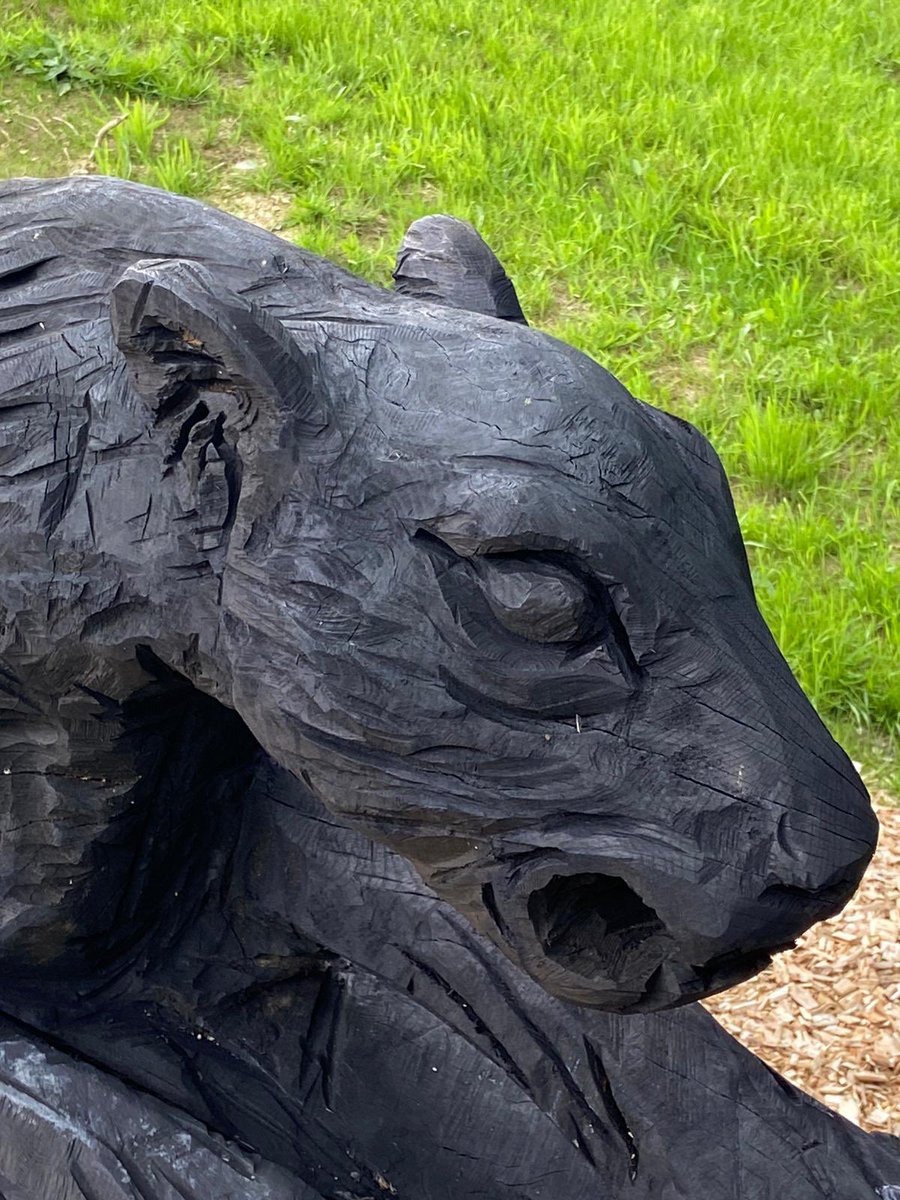 The #brechfabeast has been spotted in Victoria Park Brechfa #brechfacommunityfund