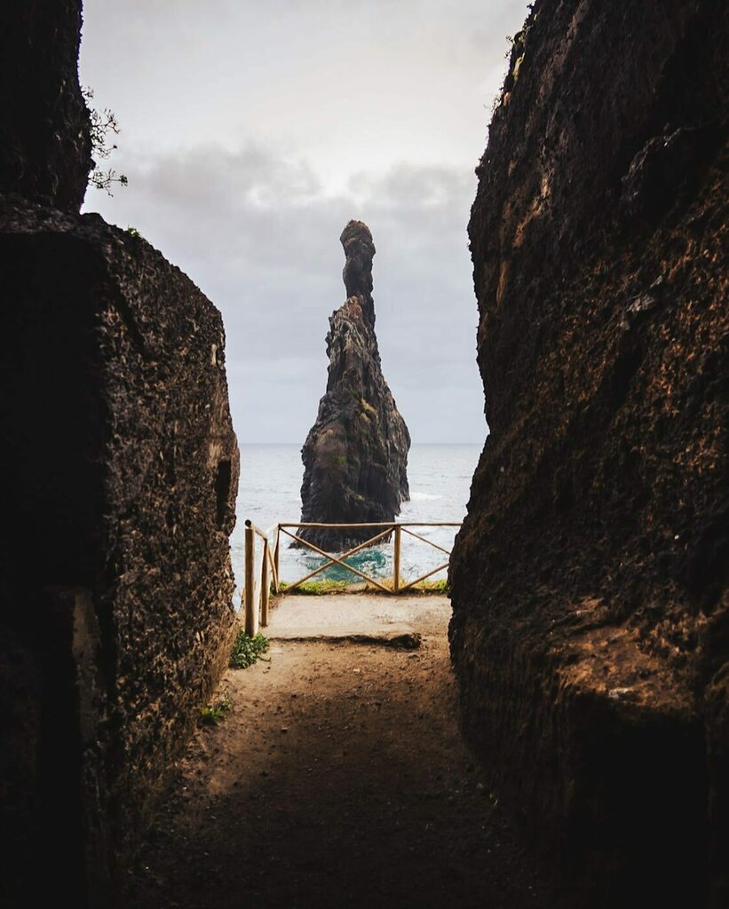 sambinding's tweet photo. Atlantic treasure
.
.
.
Up some steps, through a tunnel, into the light…
.
.
.
@visitmadeira @ilovemadeira
#madeiranowordsneeded #nakedplanet #earthoutdoors #visualsofearth #roamtheplanet #folkscenery #voyaged #stayandwander #uniladadventure #earthof… https://t.co/KxIG78Lav3 https://t.co/uePFdHWtrd