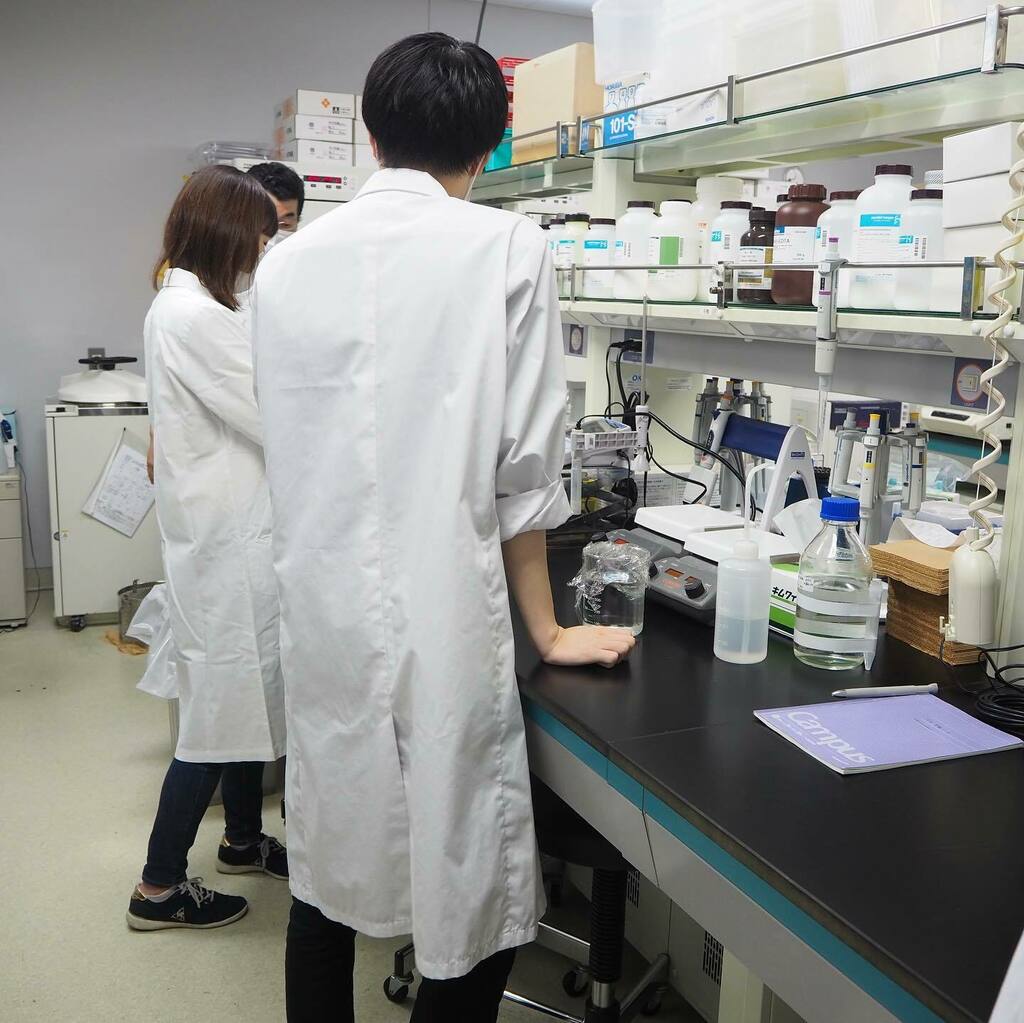 東洋大学生命科学部 食環境科学部21 広報アカウント Toyoitasns Twitter 東洋大学生命科学部 食環境科学部21 広報アカウント Toyoitasns Twitter
