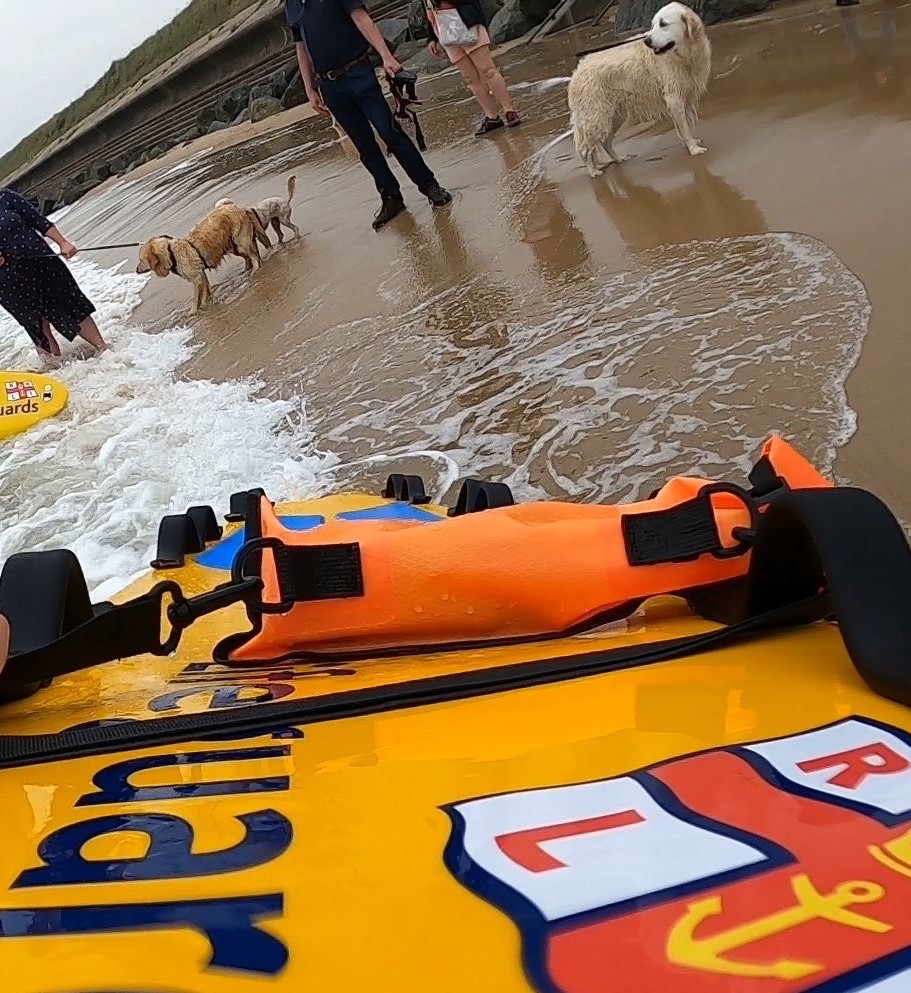 RNLI's tweet photo. Remember: if your pet goes into the water or gets stuck in mud, don't go after it. Move to a place you can get to safely and call its name. If you think your pet is in danger, call 999 or 112 and ask for the coastguard. https://t.co/bRZRXwf43p