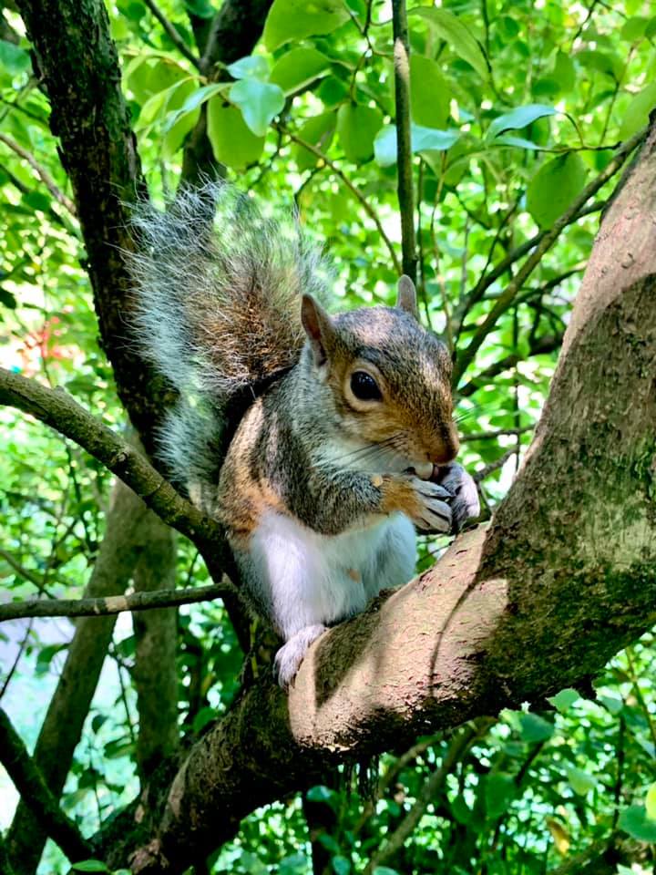 CProofreader's tweet image. Could this possibly be Colin I encountered the other day @MToddington #thesinkholechronicles 😀