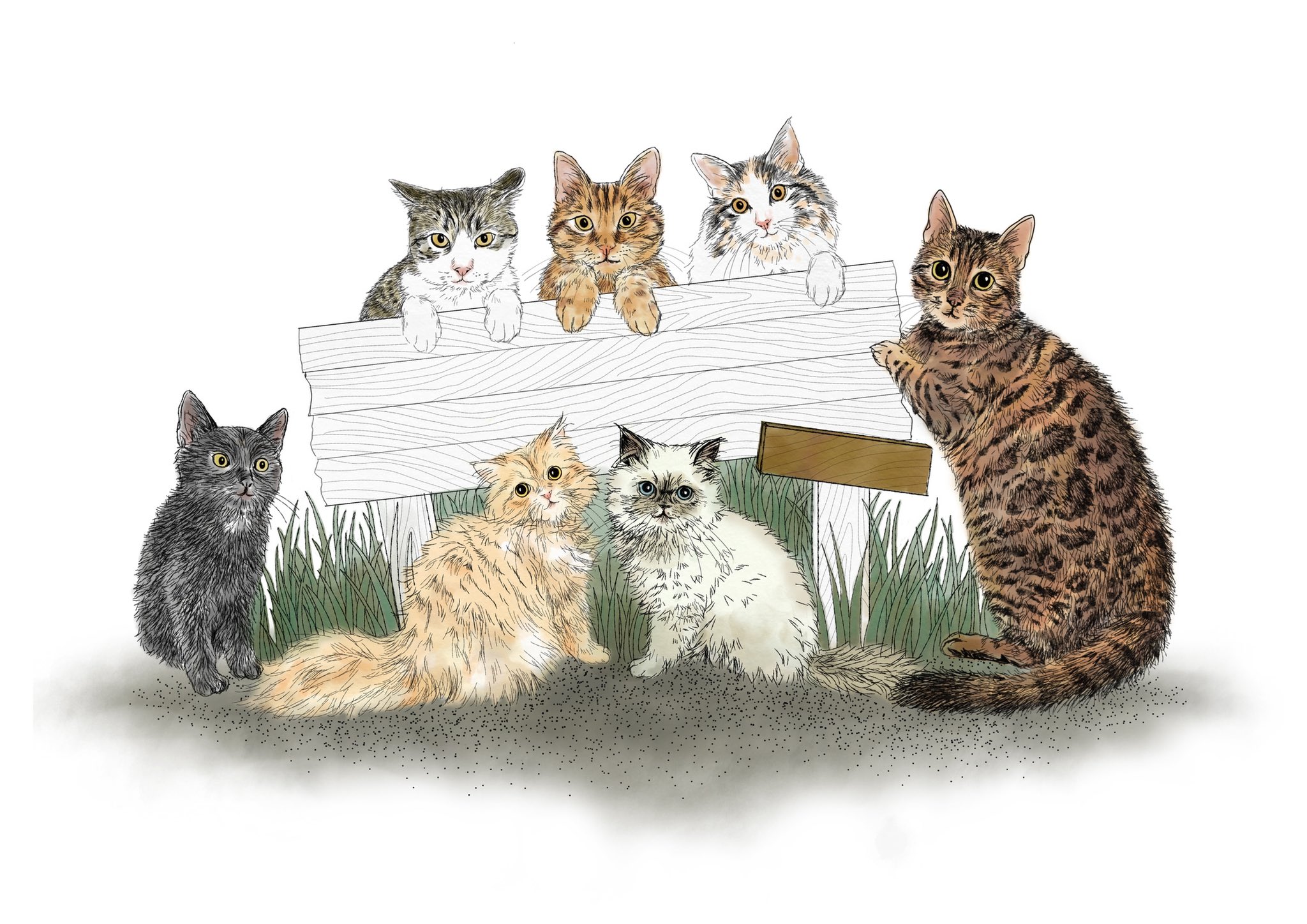 تويتر 猫イラストレーター 365cat Art على تويتر 凍結によりお知らせ遅れましたが 家族募集します に合わせ描いた イラストをフリー素材として配布中 保護猫の家族募集 お知らせなどにsnsやチラシなどで使用するのにおすすめ サイトのfreebeeからダウンロード