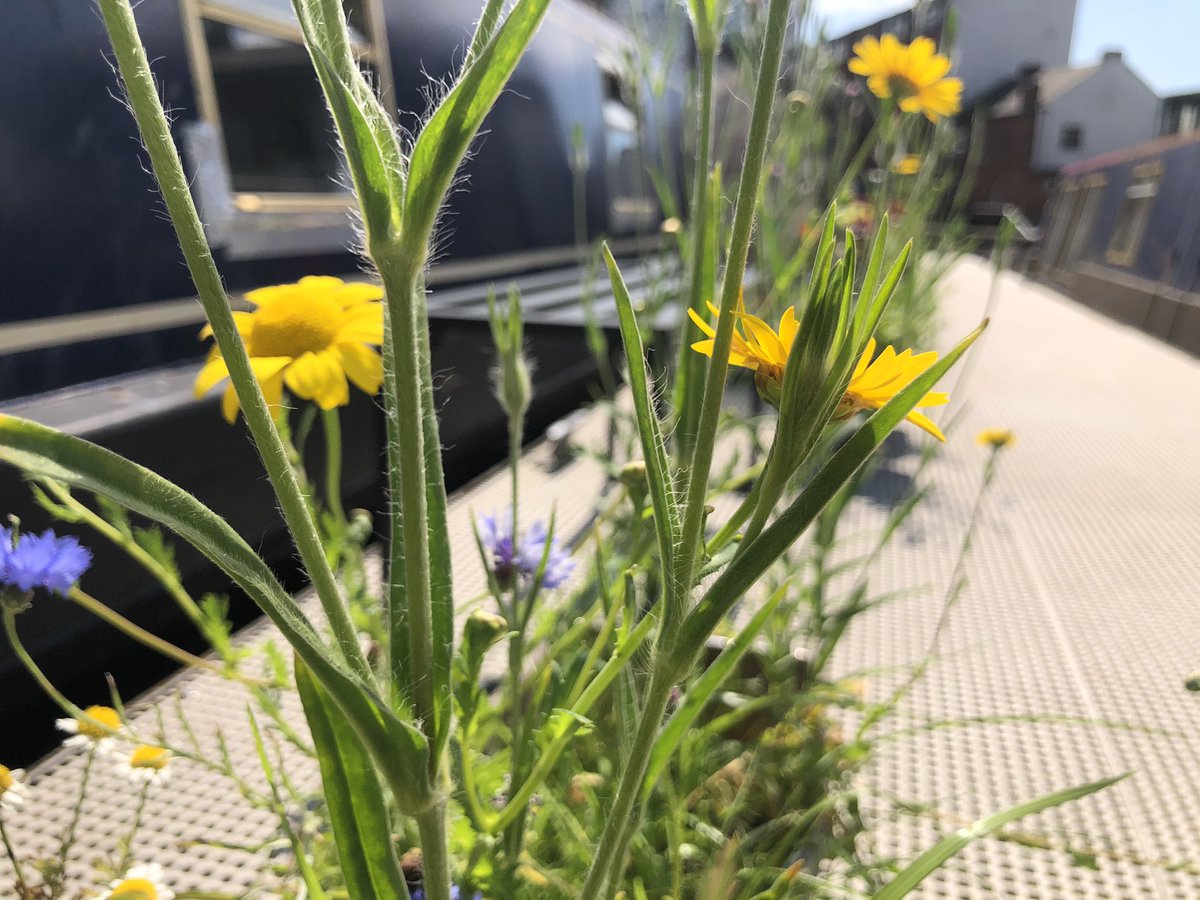 Boatel Birmingham tweet media