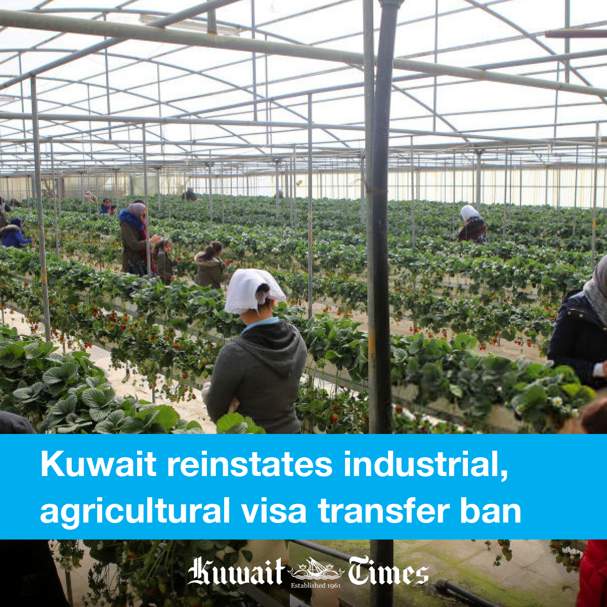 kuwaittimesnews's tweet photo. The Public Authority for Manpower has reinstated a ban on transferring visas of foreign labor recruited in the industrial and agricultural fields, as well as co-op societies and the free trade zone.
#visatransfer #KuwaitResidency #PAM #PublicAuthorityforManpower
#KuwaitTimes https://t.co/yIV2WWqkIH