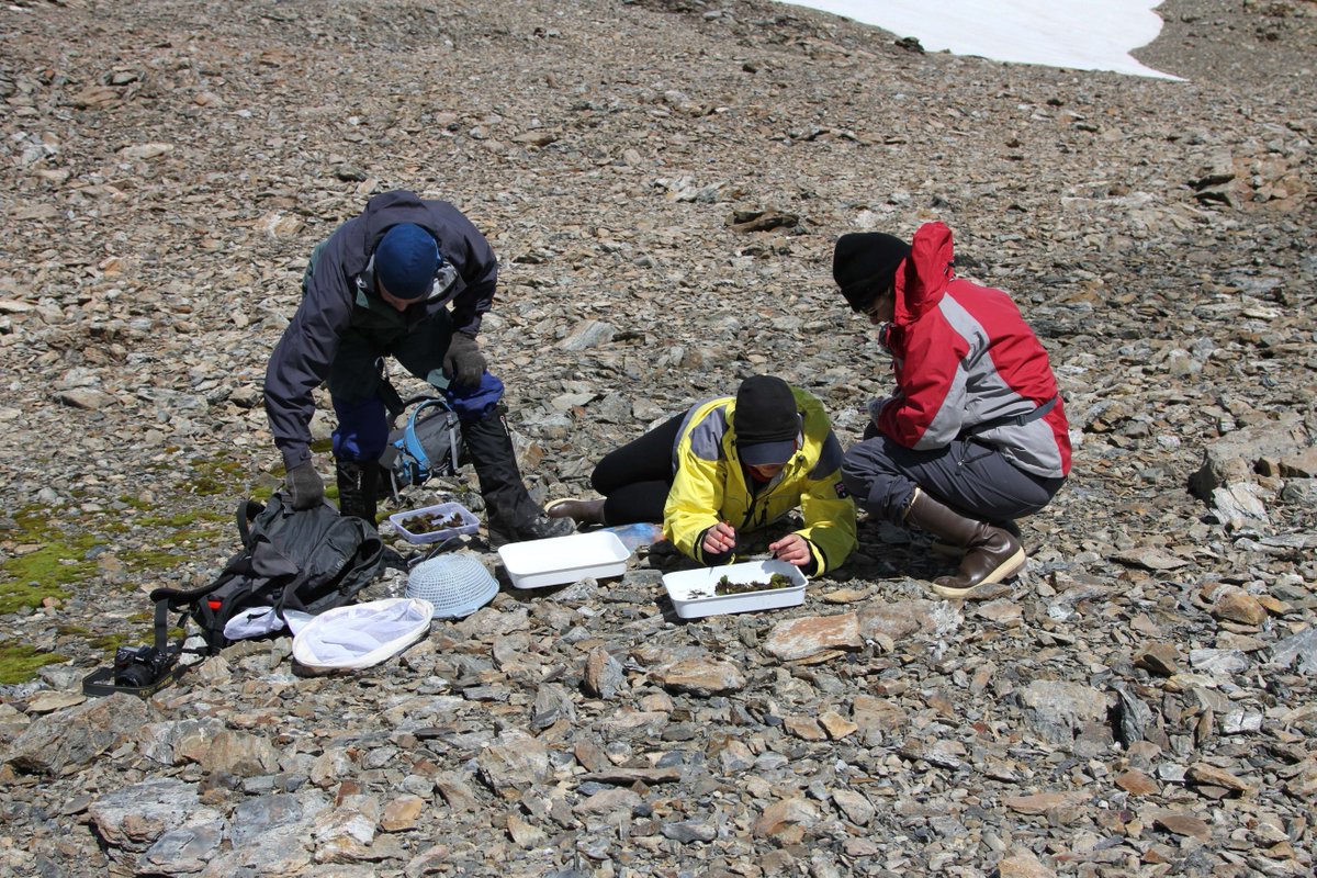 Postdoc position available <a href="/latrobe/">La Trobe University</a> <a href="/MelodieAM/">Melodie McGeoch</a> - Modelling biodiversity status and trends: Antarctica in a global context. 

Research Assistant position available <a href="/latrobe/">La Trobe University</a> <a href="/MelodieAM/">Melodie McGeoch</a>  - Biodiversity Informatics. 

For more info on these click here -  arcsaef.com/join-us/