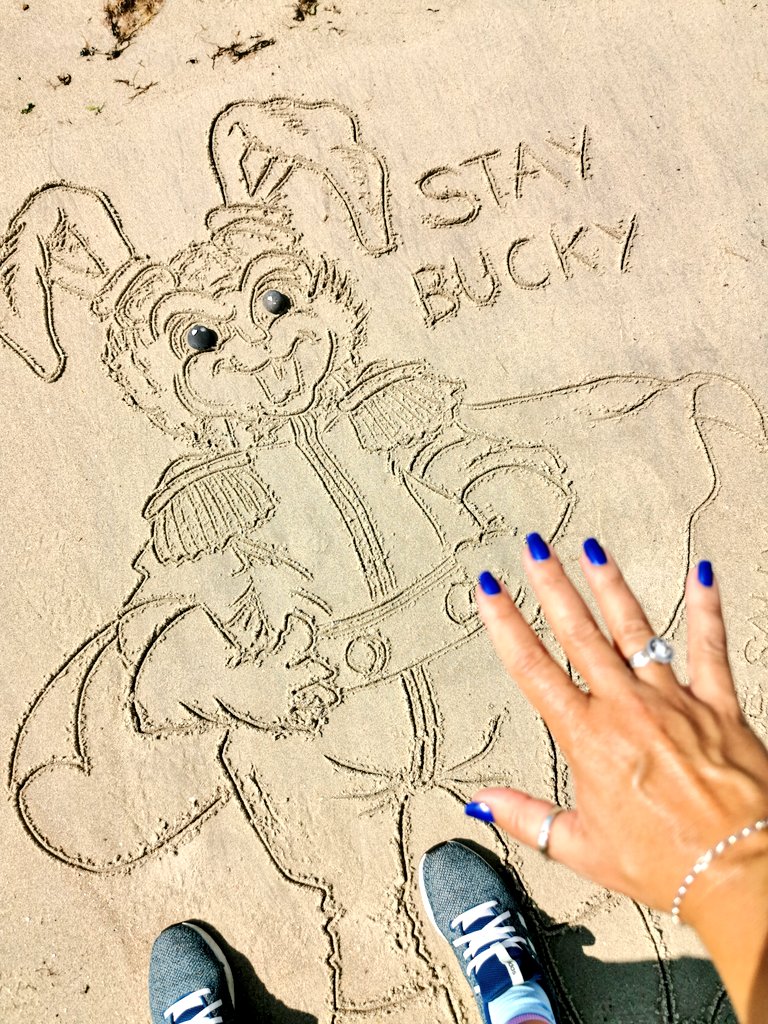 DigiDaughter's tweet photo. Stay Bucky 🐰 #BuckyOHare #CaptainBuckyOHare #Hare #LarryHama #MichaelGolden #ContinuityComics #NES
💛 #StaySafe #sanddrawing #beachart 🌊🌊🌊 #Lockdown2021 #morale #VitaminSea #Lockdown2020 #comics #cartoons ✍️ #SandBanksy #shorelinesally Characters No.1038 https://t.co/Unyvxk6I0B