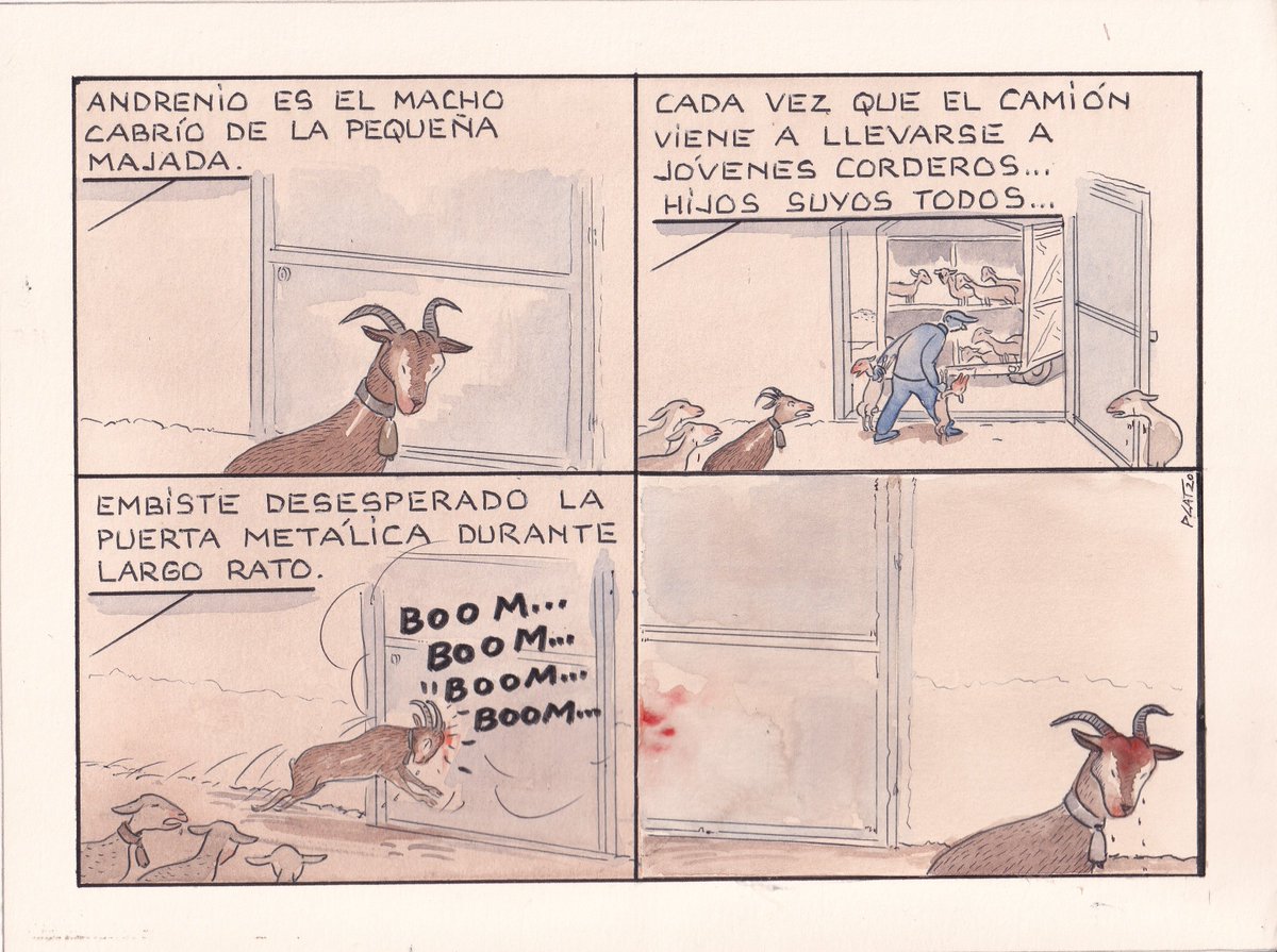 pacocatt's tweet photo. Mi viñeta de hoy miércoles 14 de julio de 2021. Rem.
¿Ellos no tienen sentimientos? https://t.co/EJ93qgKOBb